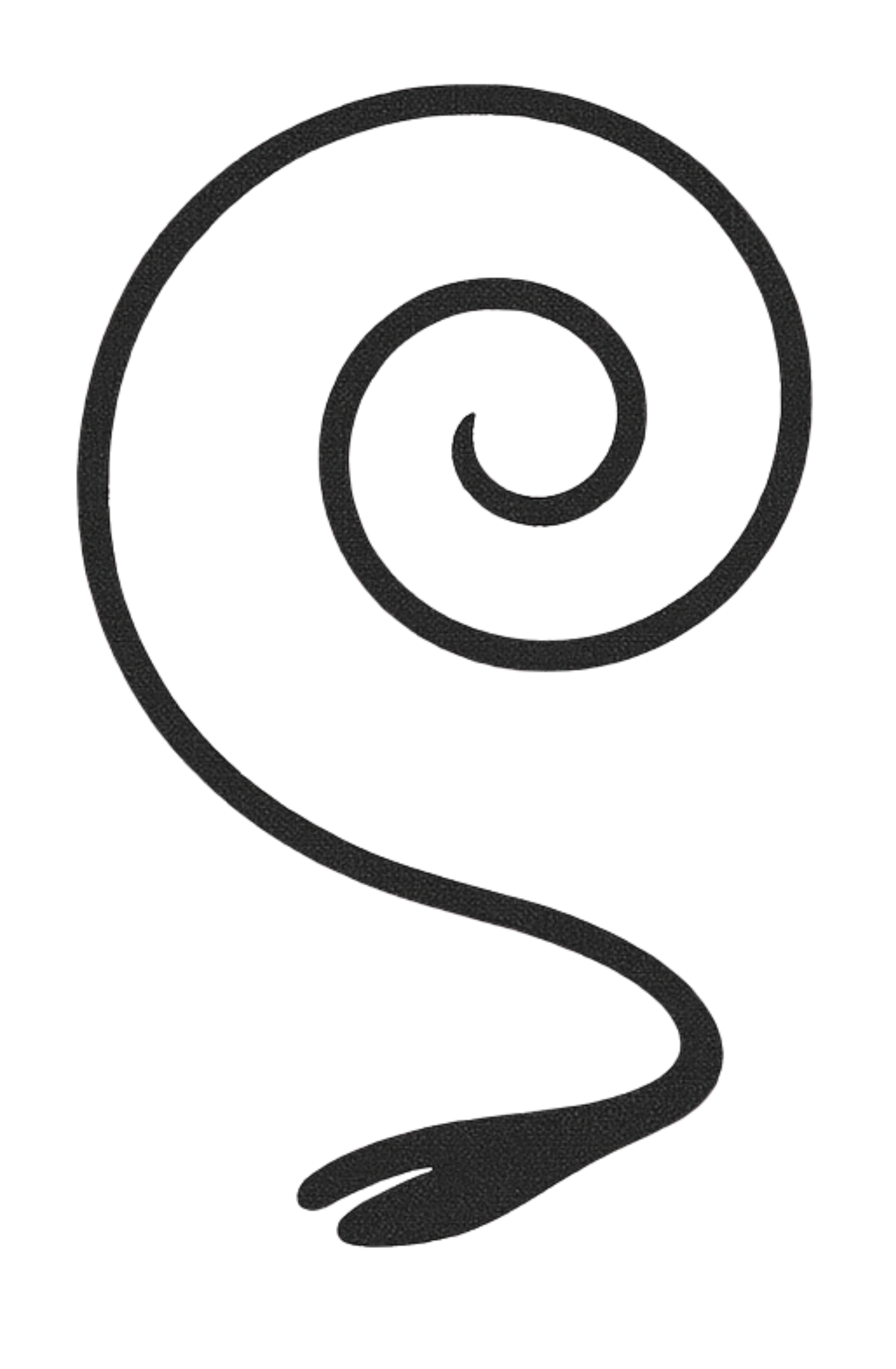 The Path Spiral